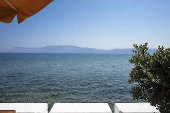 Kissamia - Next To Night Clubs